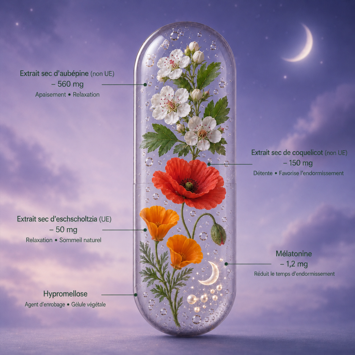 Nuit Paisible : composition & actifs cl&eacute;s